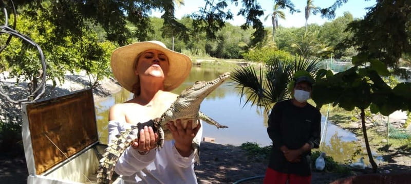 .Beach Horse Riding Turtle Release Crocodile Farm Experience - The Beach Horseback Ride: Jungle Trail to a Pacific Stretch