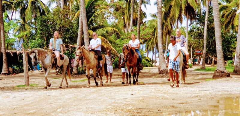 .Beach Horse Riding Turtle Release Crocodile Farm Experience - Crocodile Farm Entrance: Learn First, Then Look