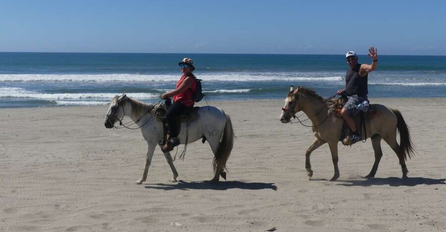 .Beach Horse Riding Turtle Release Crocodile Farm Experience - Transportation, Timing, and the Real Value of $125