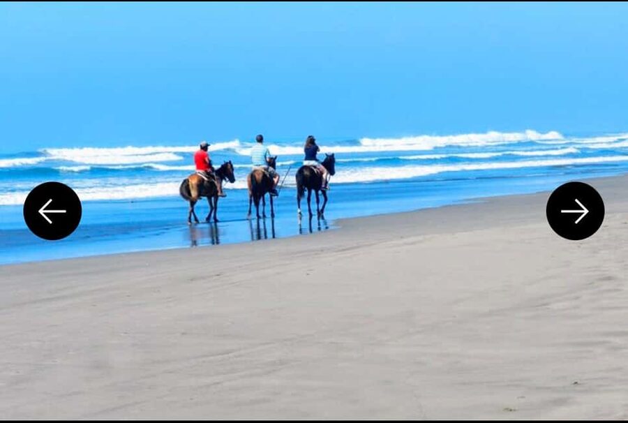 .Beach Horse Riding Turtle Release Crocodile Farm Experience - Should You Book This Tour?