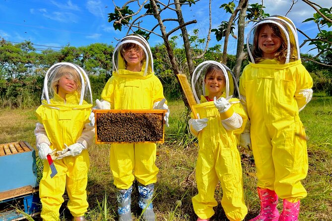 Bee Farm Ecotour and Honey Tasting in Waialua, North Shore Oahu - Holding the Frame, Getting Photos, and Watching the Bees Up Close