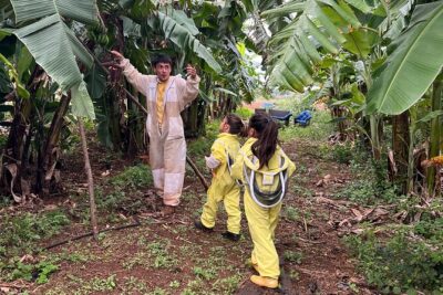 Bee Farm Ecotour and Honey Tasting in Waialua, North Shore Oahu - The Banana-Tree Walk to Active Hives