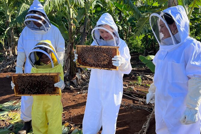 Bee Farm Ecotour and Honey Tasting in Waialua, North Shore Oahu - Price and Value on a North Shore Day Plan