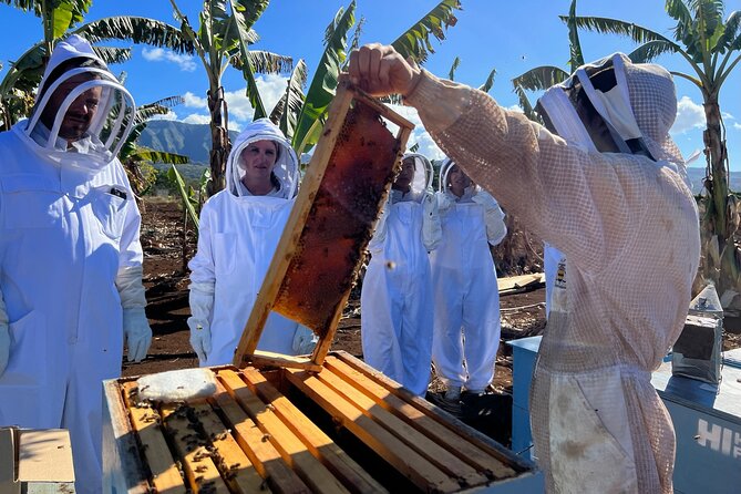 Bee Farm Ecotour and Honey Tasting in Waialua, North Shore Oahu - Who Should Book This (and Who Should Skip It)