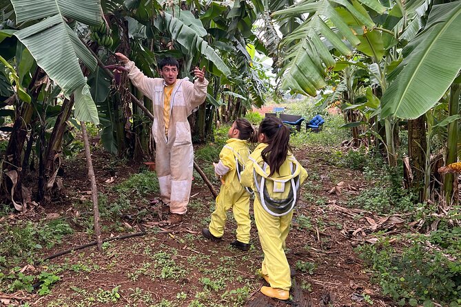 Bee Farm Ecotour and Honey Tasting in Waialua, North Shore Oahu - The Banana-Tree Walk to Active Hives