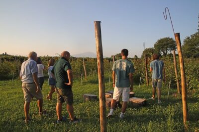 Beekeeping Farm Tour and Tasting Experience in Lazise - Meeting at Il Campetto and getting oriented fast