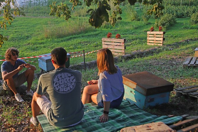 Beekeeping Farm Tour and Tasting Experience in Lazise - Wine pairing and the non-alcohol option