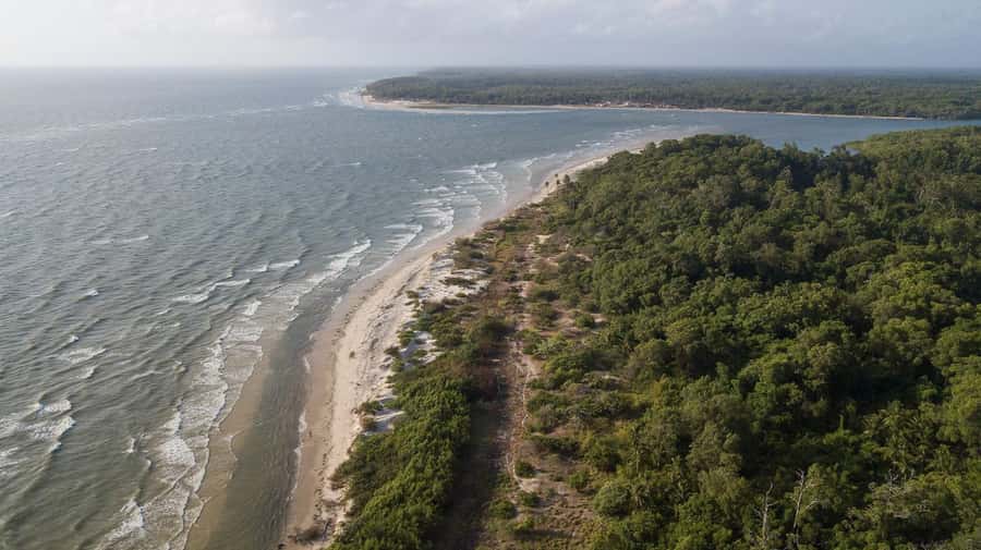 Belém: Marajó Island Day Trip with Buffalo Farm Visit - Souré Route: Araruna Buffalo Farm, Crafts, Then Pesqueiro Beach