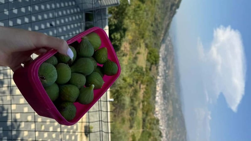 Berat: Farm-to-Table Cooking Class with Local Family - Price and value: is $64 per person worth it?