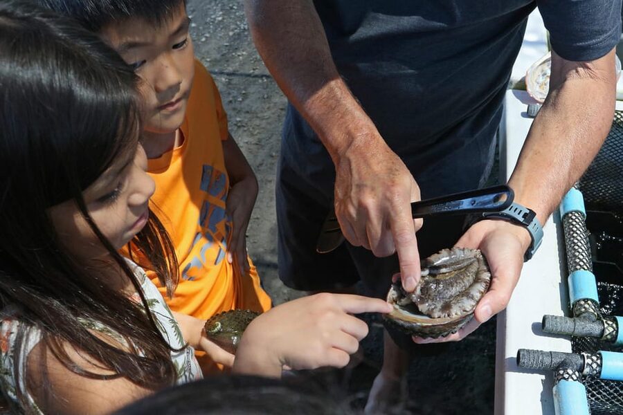 Big Island: Abalone Farm Guided Tour with Tasting - Who Should Book This Abalone Farm Tour