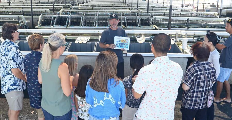 Big Island: Abalone Farm Guided Tour with Tasting - Walking Through the Facilities: Organic, Sustainable, and Built for Patience