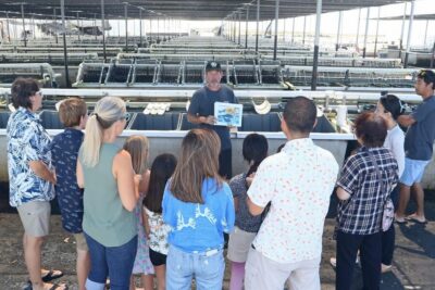 Big Island: Abalone Farm Guided Tour with Tasting - What the Tour Teaches: How Abalone Production Really Works