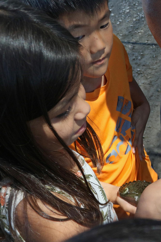 Big Island: Abalone Farm Guided Tour with Tasting - Timing, Pace, and What to Do Before You Go