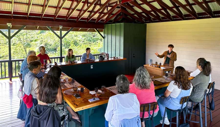 Big Island Hawaii: Craft Chocolate Tasting and Farm Tour - Where craft chocolate starts: Honolii Orchards near Hilo