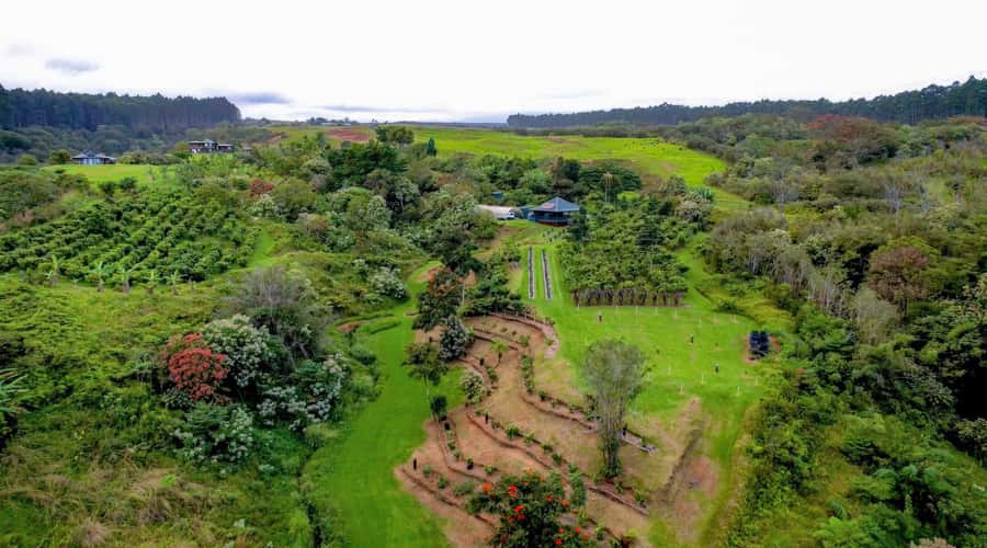 Big Island Hawaii: Craft Chocolate Tasting and Farm Tour - First stop: the tasting room with real views and an easy start