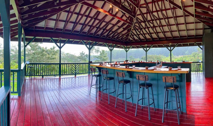 Big Island Hawaii: Craft Chocolate Tasting and Farm Tour - Chocolate history, then craft vs mass: a lesson that sticks