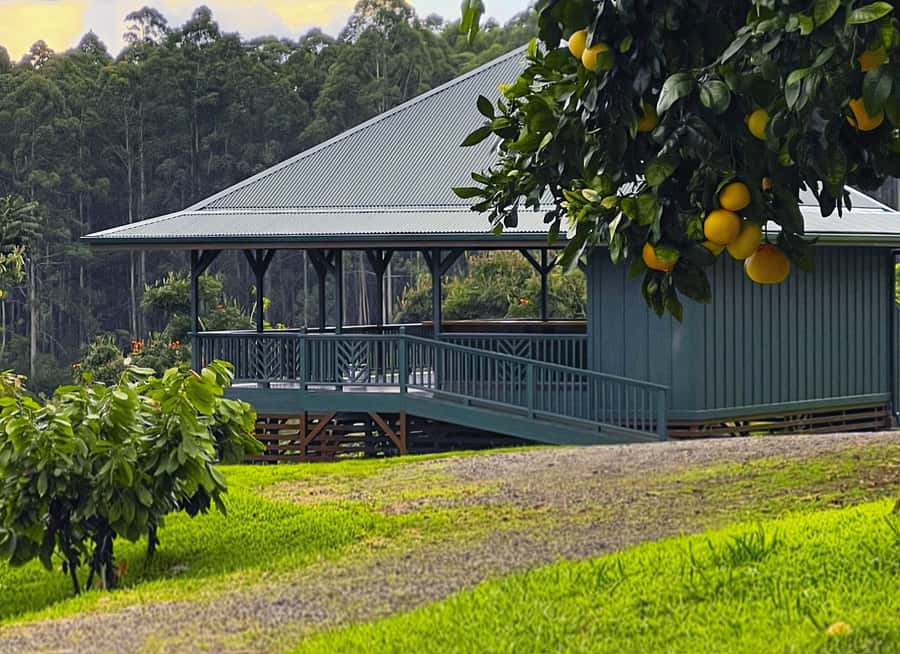 Big Island Hawaii: Craft Chocolate Tasting and Farm Tour - The tasting flight: at least 10 single-origin bars plus cacao treats