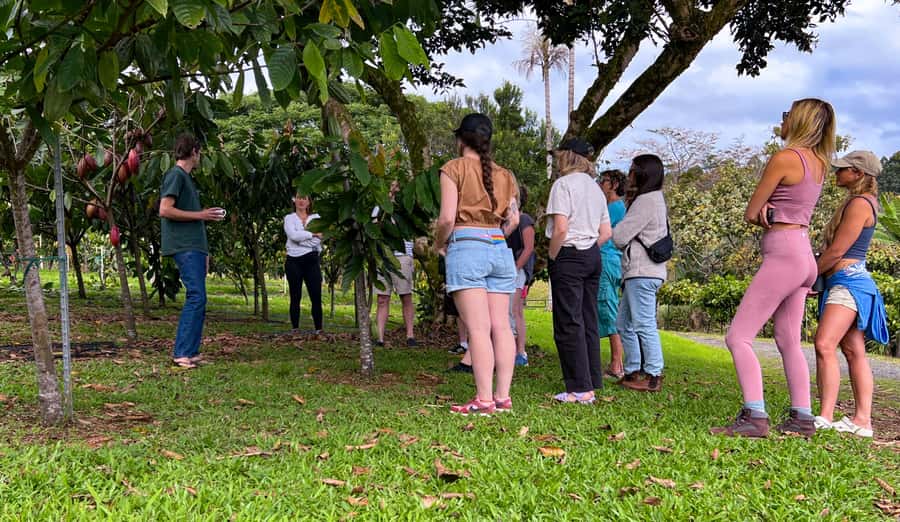 Big Island Hawaii: Craft Chocolate Tasting and Farm Tour - Price and value: is $130 worth it?