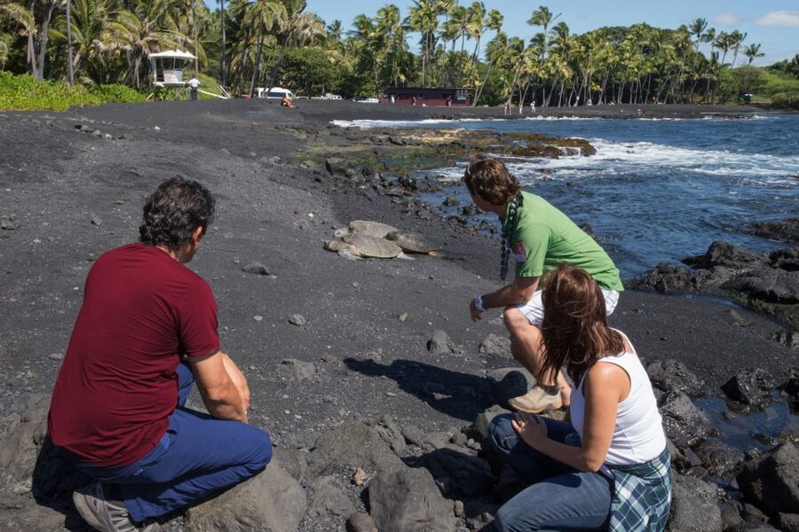 Big Island: Volcanoes, Waterfalls, & Coffee Farm Day-Trip - Why this Big Island day trip feels like a shortcut