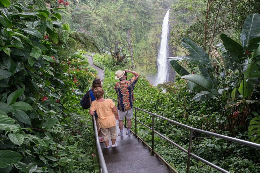 Big Island: Volcanoes, Waterfalls, & Coffee Farm Day-Trip - Punalu’u Bake Shop and Bay View Farm: snacks and coffee education