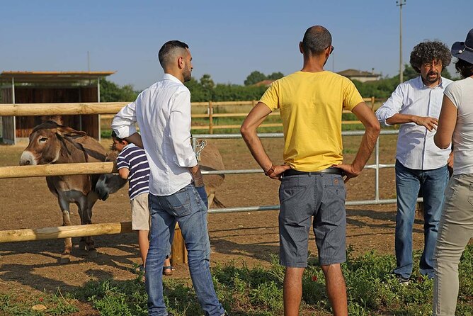 Biodynamic Farm and Natural Wines Tasting in Lazise - Key things to know before you go