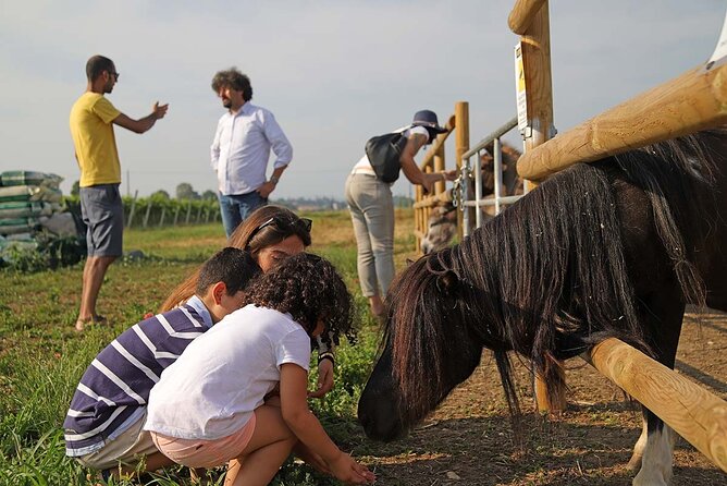 Biodynamic Farm and Natural Wines Tasting in Lazise - Stop 2 at Cola: seeing more biodynamic life up close
