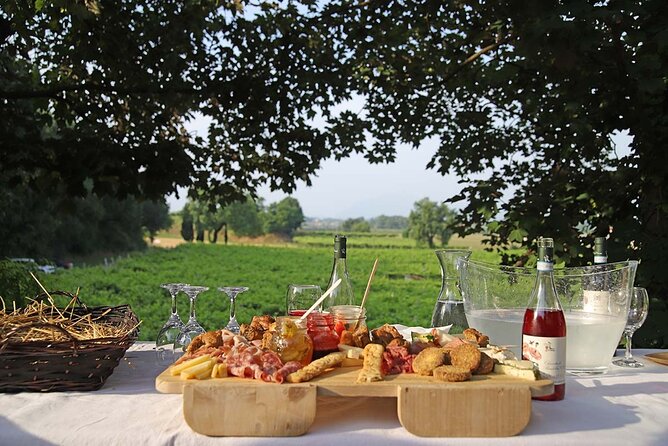 Biodynamic Farm and Natural Wines Tasting in Lazise - The natural wine tasting: Chiaretto to Bardolino, light to structured