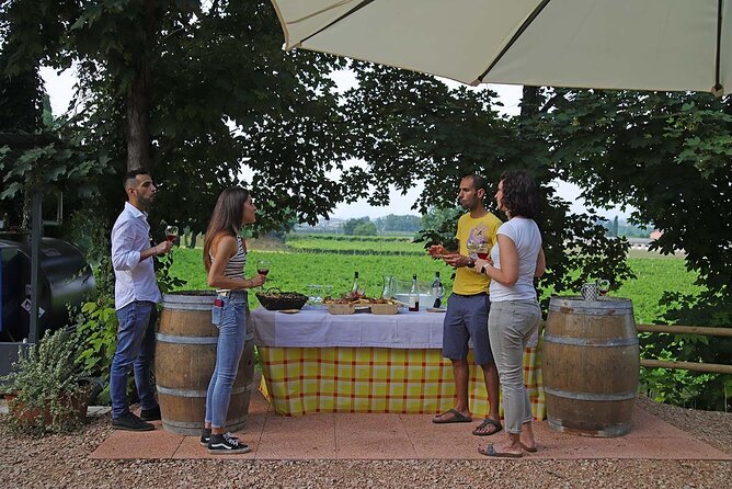 Biodynamic Farm and Natural Wines Tasting in Lazise - What you’ll eat: cold cuts, cheeses, and bread that match the region