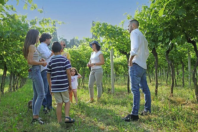 Biodynamic Farm and Natural Wines Tasting in Lazise - Value at $50.47 for a 2-hour farm-and-wine experience