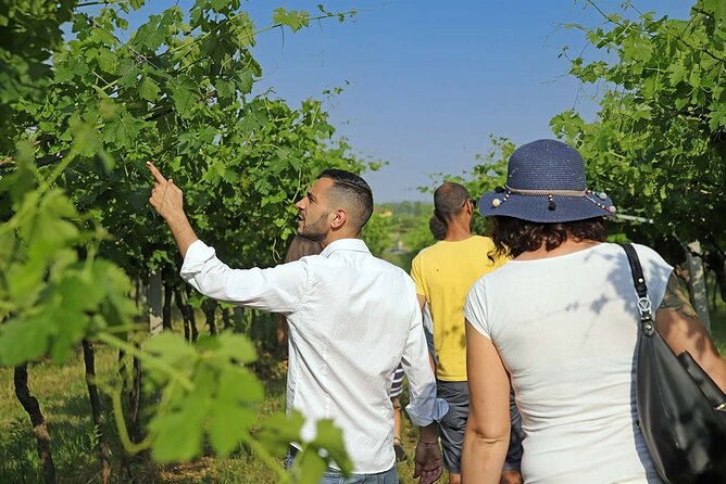 Biodynamic Farm and Natural Wines Tasting in Lazise - Stop 1 at La Pesenata: the farm circuit that sets the tone