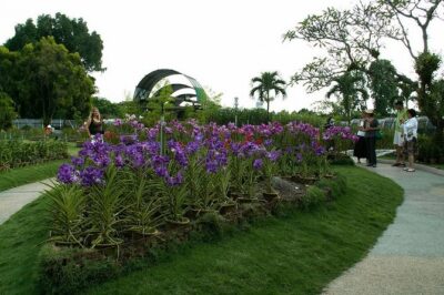Bird Park & Butterfly Farm Nature Include All Entrance Tour From Kuala Lumpur - Hotel pickup and the 3-stop game plan