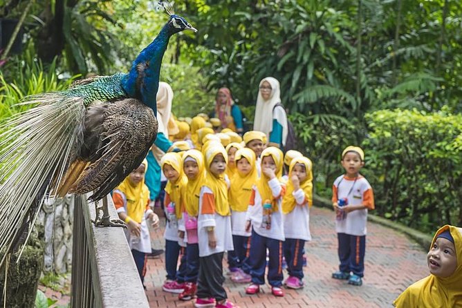 Bird Park & Butterfly Farm Nature Tour From Kuala Lumpur - Butterfly Park: the garden setting where 5,000 live butterflies actually move