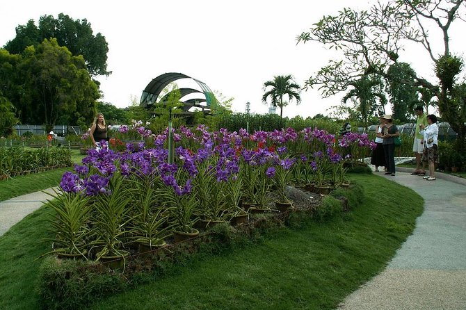 Bird Park & Butterfly Farm Nature Tour From Kuala Lumpur - Price and logistics: what $34 really covers (and what it doesn’t)