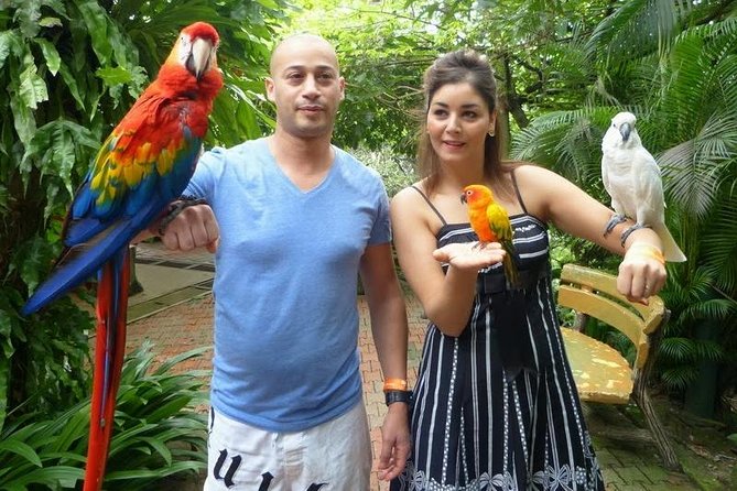 Bird Park & Butterfly Farm Nature Tour From Kuala Lumpur - Timing: how 3.5 hours works across three nature stops