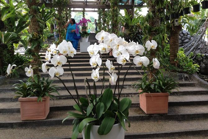 Bird Park & Butterfly Farm Nature Tour From Kuala Lumpur - Driver reality: comfortable transport is great, but punctuality matters