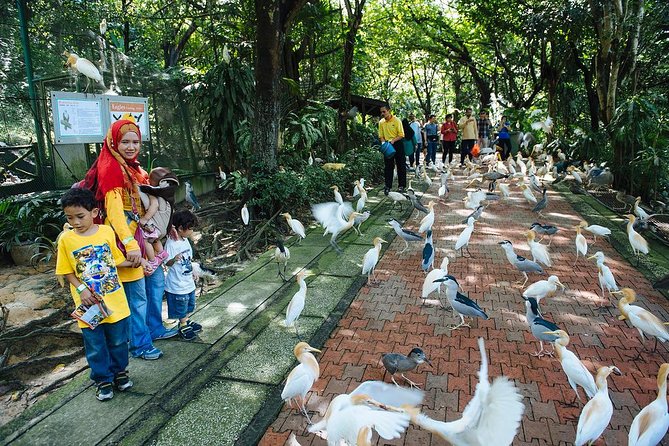 Bird Park & Butterfly Farm Nature Tour From Kuala Lumpur - Should you book this Bird Park & Butterfly Farm Nature Tour?