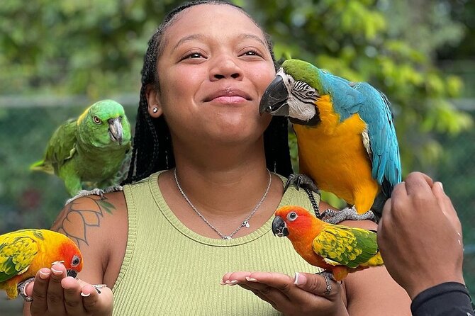Bird Sanctuary and animal farm Day Tour - From hotel pickup to Anchovy: the easy flow