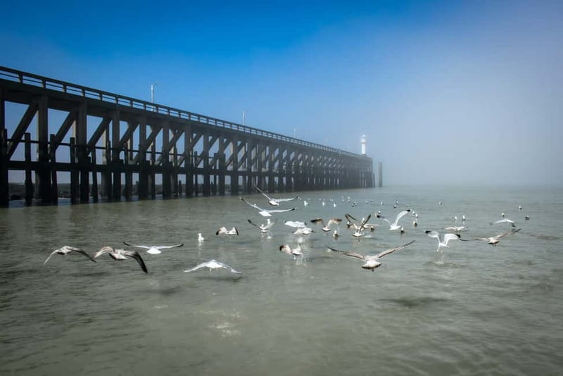 Blankenberge: Offshore Wind Farm Tour by Boat - The 2.5-hour rhythm and how to make the most of it