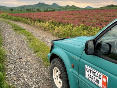 Bohemian Uplands: Garnet panning, Farm & Local Lunch&Beer - The 4WD route through extinct volcano country