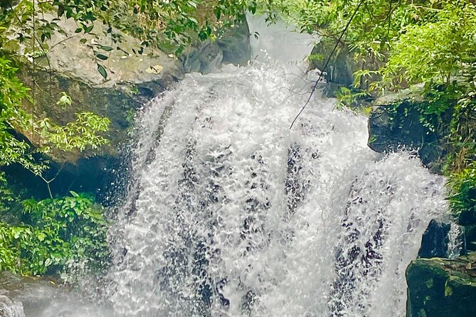 Botanic Garden - Paradise Cave - Zipline - Mudbath at Dark Cave - A Full Day in Phong Nha, Measured in Big Moments