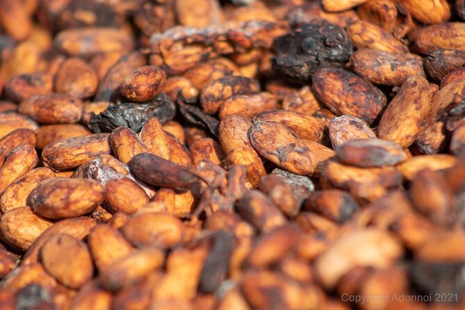 Boti Falls, Umbrella Rock, Aburi Gardens & Cocoa Farm Day Tour - Key things I’d watch for