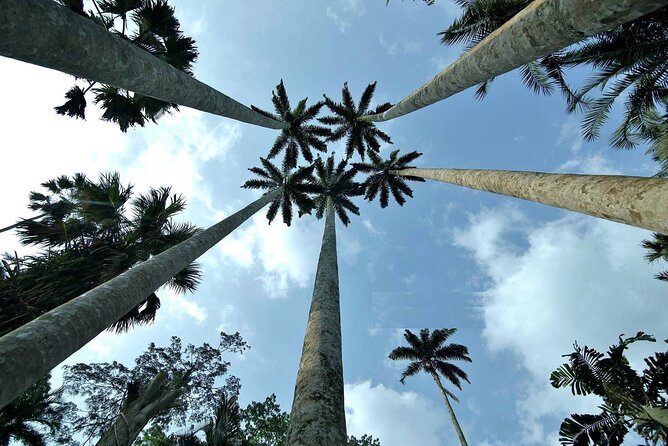 Boti Falls, Umbrella Rock, Aburi Gardens & Cocoa Farm Day Tour - Getting there in comfort: pickup, vehicle setup, and pace