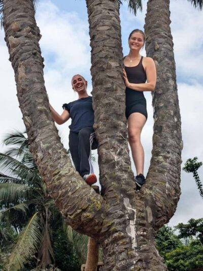 Boti Falls, Umbrella Rock, Aburi Gardens & Cocoa Farm Tour - Boti Falls forest walk: twin waterfalls and the three-headed palm tree