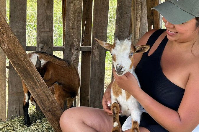 Bottle Feed & Cuddle Baby Goats at Ohana Ranch (Big Island) - Farm calm, island views, and why it feels relaxing