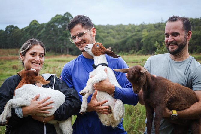 Bottle Feed & Cuddle Baby Goats at Ohana Ranch (Big Island) - Price and value: is $39 for an hour worth it?