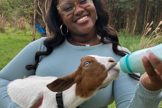 Bottle Feed & Cuddle Baby Goats at Ohana Ranch (Big Island) - Warm welcome and the farm story behind baby goats
