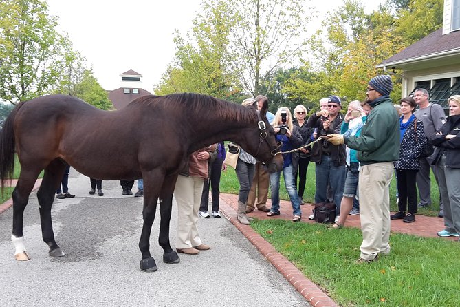 Bourbon Distillery & Horse Farm Tours - Lexington Stop: Famous Brands Plus Distilleries with Personality