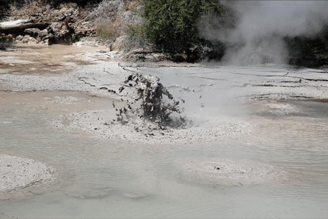 Boutique tour , Mt Maunganui, NZ farm, Rotorua lakes/geothermal - The big idea: why this Tauranga-to-Rotorua day works