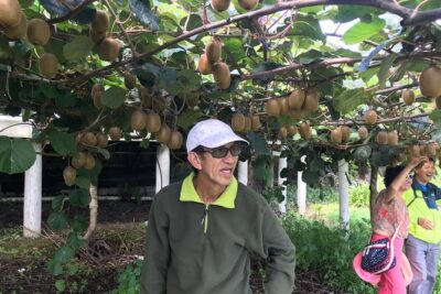 Boutique tour , Mt Maunganui, NZ farm, Rotorua lakes/geothermal - Price and logistics: what you’re really paying for