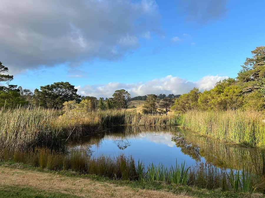 Bowral Honey Farm Tour, Honey Tasting & morning Tea - Bowral Honey Farm at Retford Park: where the tour starts